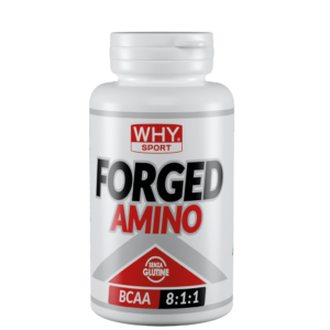 Forged Amino BCAA 8:1:1